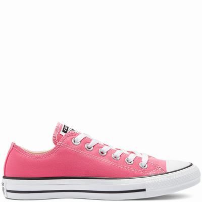 Férfi Converse Color Chuck Taylor All Star Tornacipő CO4312957 Rózsaszín